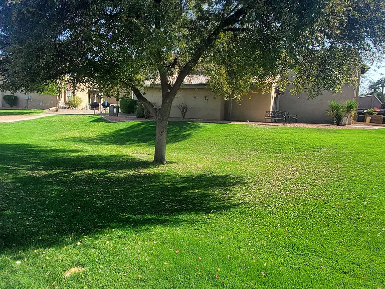 3825 E Camelback Rd #150 — Photo 27