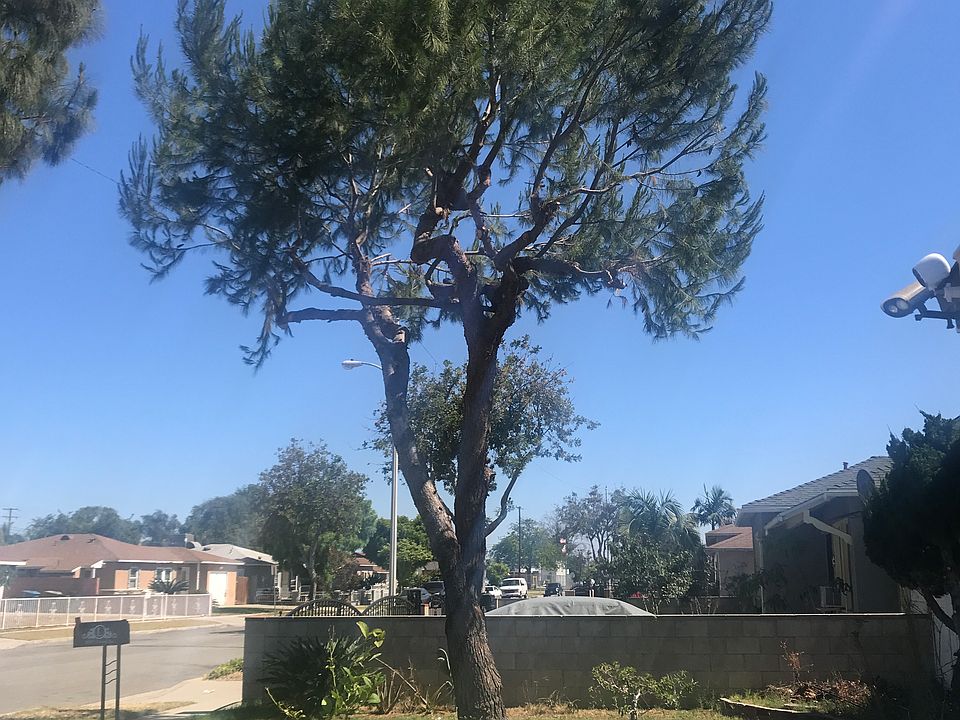 2nd image of 14503 Dinard Ave