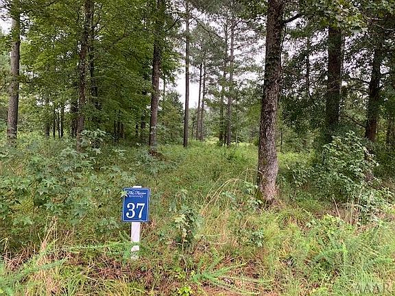 2nd image of 333 Trailwood Ct