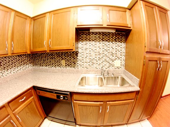 New double stainless sink