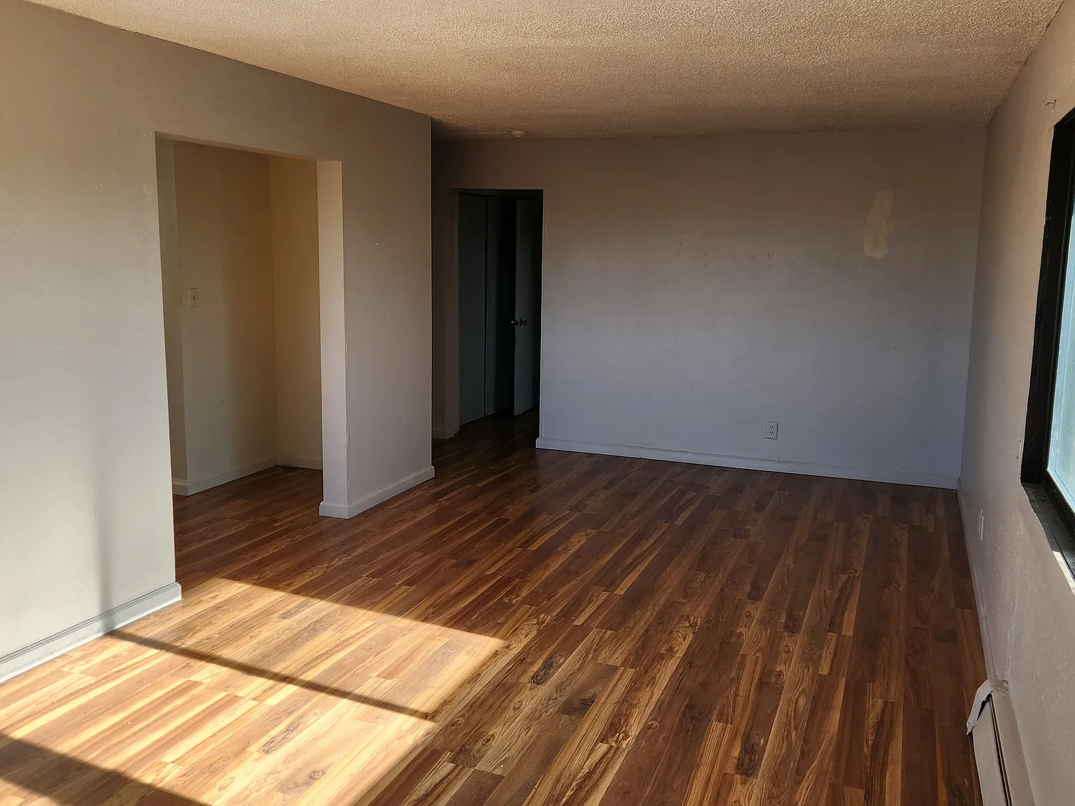 1 bed, 700 sqft, $1,250 — Photo 3