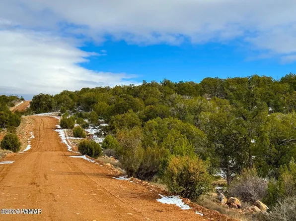 0 W Elkhorn Pass, Seligman, AZ 86337