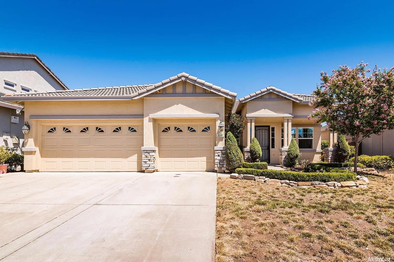 3341 Oselot Way photo 1