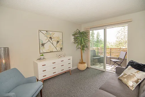 South Hill Heights Photo 1