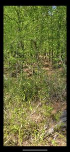 0 County Road 355, Heidelberg, MS, 39439