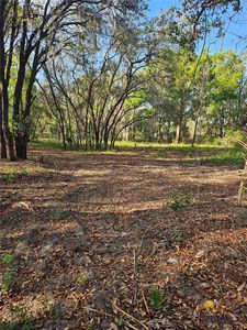 22160 Obrien Rd LOT 2500, Howey In The Hills, FL, 34737