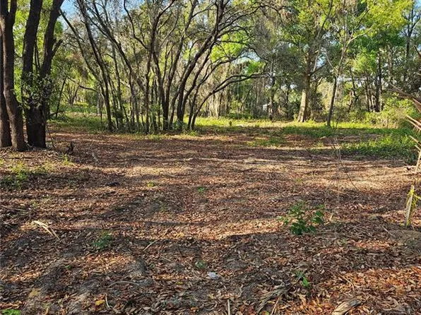 22160 Obrien Rd Lot 2500, Howey In The Hills, FL 34737