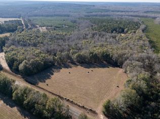 0 Fouche Rd #2C-LOT 2B, Buena Vista, GA 31803