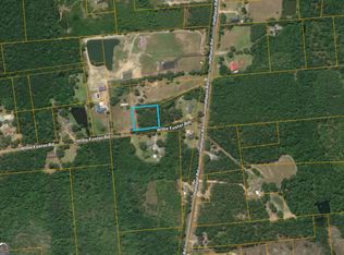 0 Willie Foster Rd, Hazlehurst, GA 31539