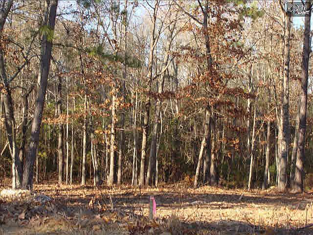 2nd image of 200 Calli Ln