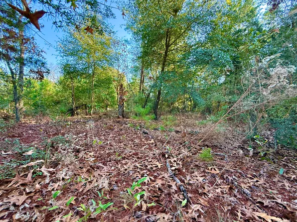 6 E Tiger Lily Ln, Defuniak Springs, FL 32433