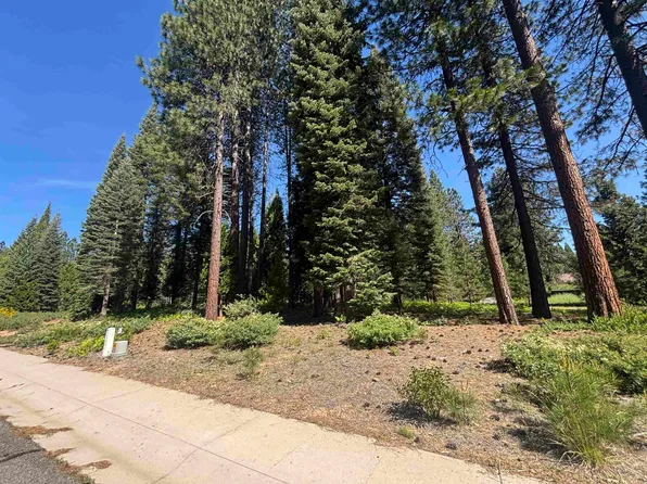 LOT 42 Panther Meadow Dr, McCloud, CA 96057