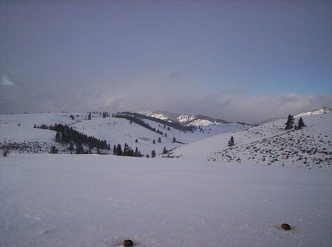 View down Horse Canyon