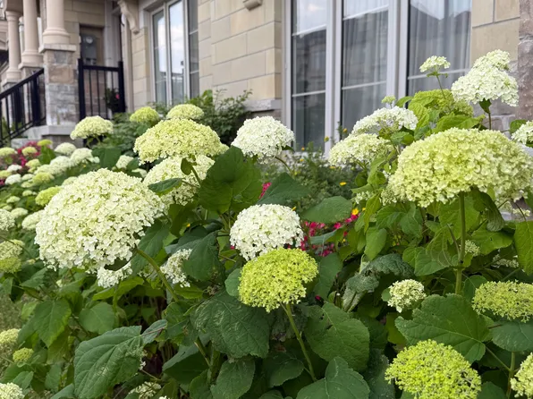 87 Grand Trunk Ave, Vaughan, ON L6A 5B3