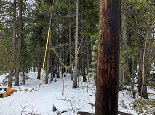 120 Timber Rd #9, Black Hawk, CO 80422