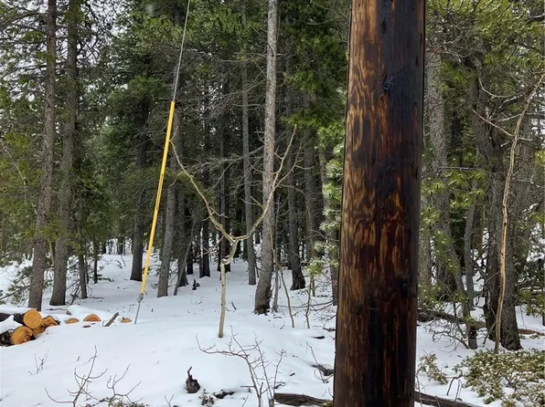 120 Timber Road LOT 9, Black Hawk, CO 80422