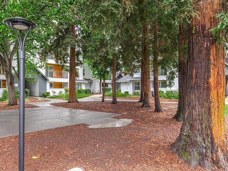 2021 N Milpitas Blvd — Photo 8