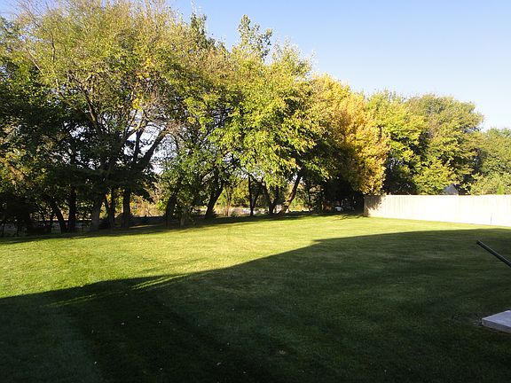Part of back yard