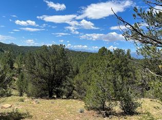 64 Elkhorn Rd, Cotopaxi, CO 81223