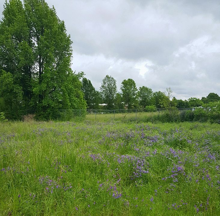 1st image of 20 Acres Gladiolus Drive