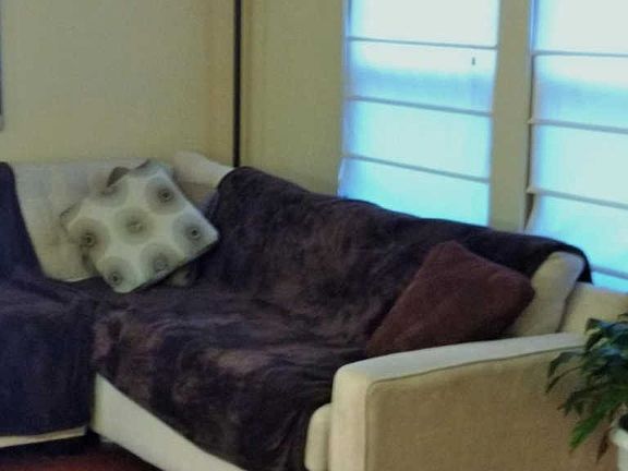 3rd image of 4949 Buckthorn Ln