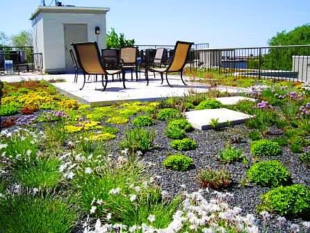 Green Roof Deck. Gas grill just added!