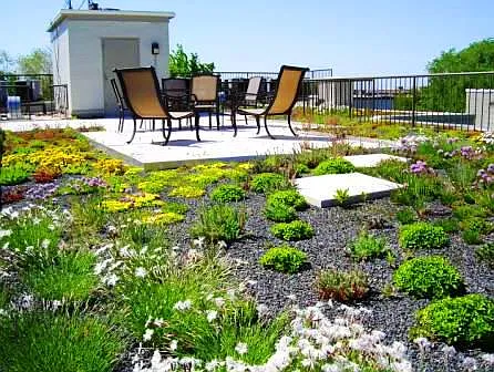 Green Roof deck. Gas grill was added since photos were taken!