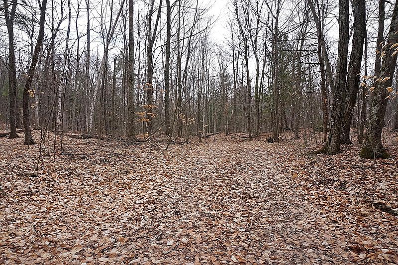 2nd image of 0 GREEN POND Lane