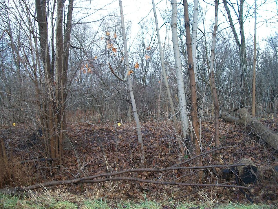 2nd image of M-40