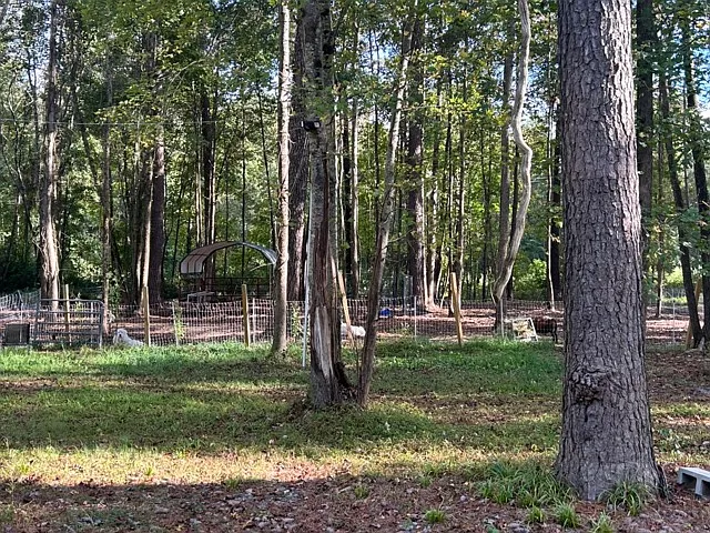 277 Taylor Rd — Photo 45