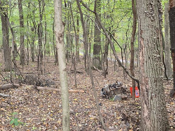 3rd image of 0 Salem Bottom Rd