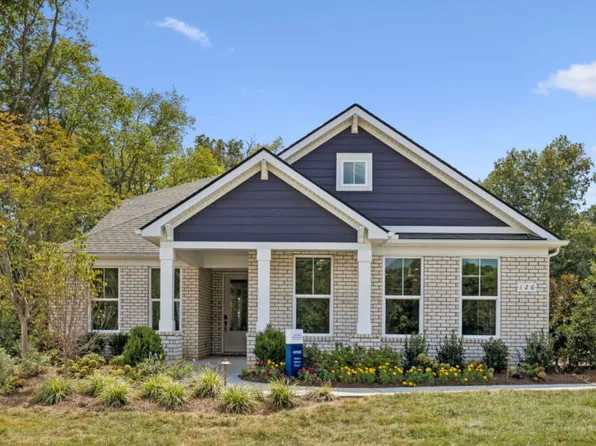 Mystique Plan, Treymor