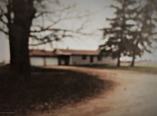 1585 E Steel Rd, Saint Johns, MI 48879