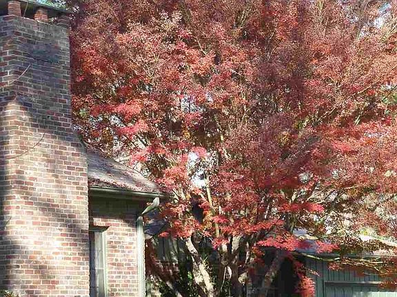 3rd image of 508 Wood Acres Ln