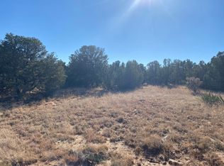 Bryant Rd, Edgewood, NM 87015