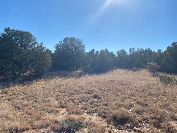Bryant Rd, Edgewood, NM 87015