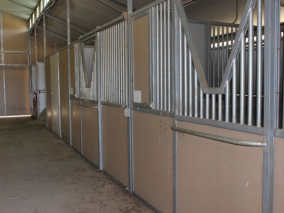 Horse lovers paradise