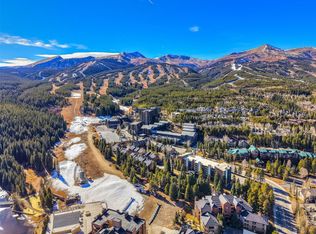 455 Village Rd APT 102, Breckenridge, CO 80424
