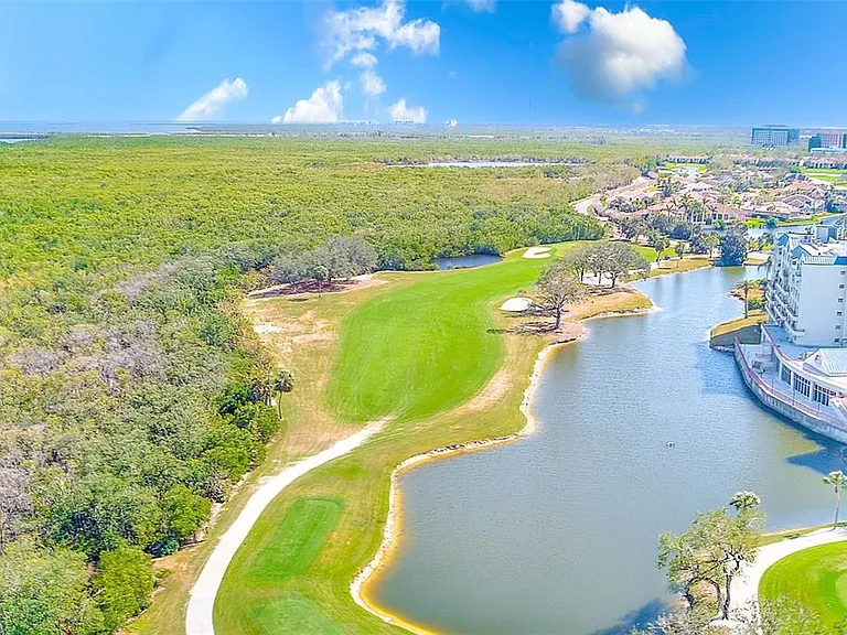 2333 Feather Sound Dr #B101 — Photo 32
