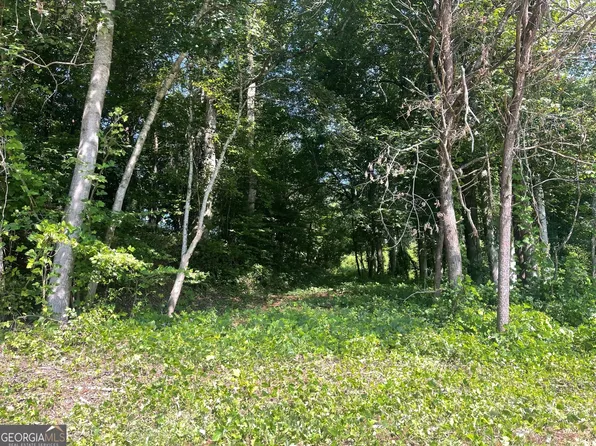 1.87 Ac Hwy #180, Blairsville, GA 30512