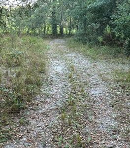 264 Walnut St, Fort White, FL, 32038