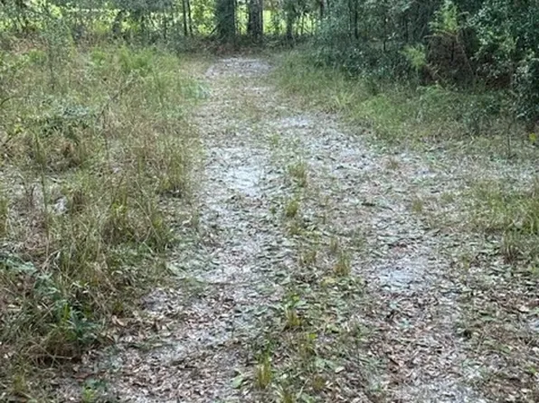 264 Walnut St, Fort White, FL 32038