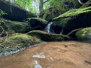 TRACT 9 Griffin Mill Rd, Pickens, SC 29671