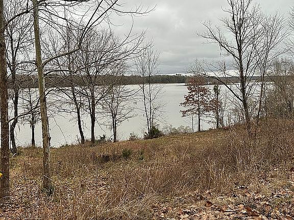 4th image of 613 Riverview Lndg Lot 46