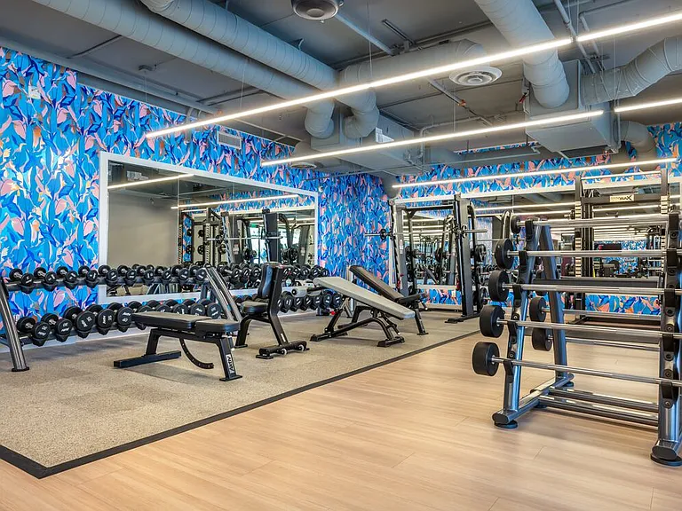 Fitness center with strength equipment