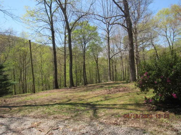 130 Beverly Dr, Petros, TN 37845