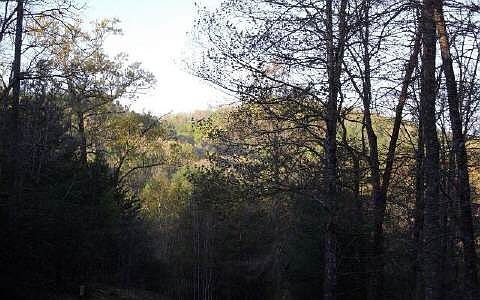 1st image of River Oaks