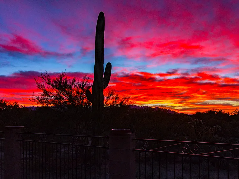 Sunset from back patio