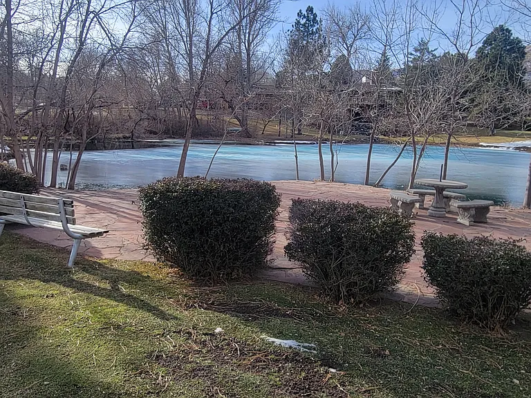 Pond