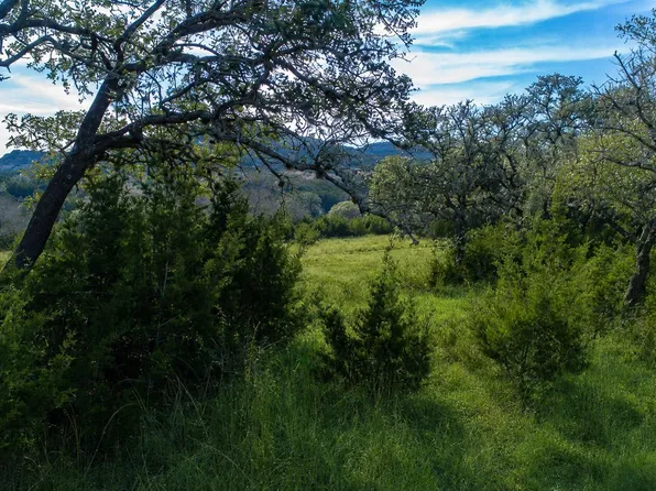 717 Bluff Ridge Trl, Blanco, TX 78606